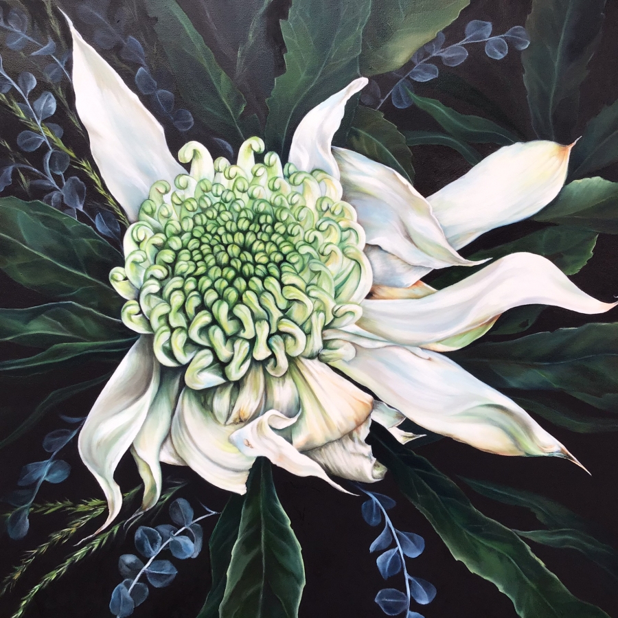 The White Waratah